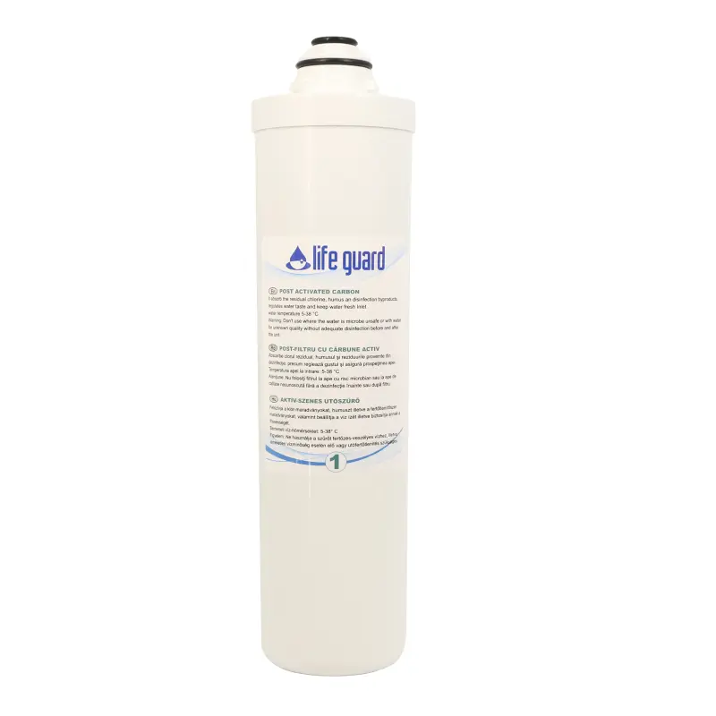 Filtru de rezerva - post activated carbon filterv