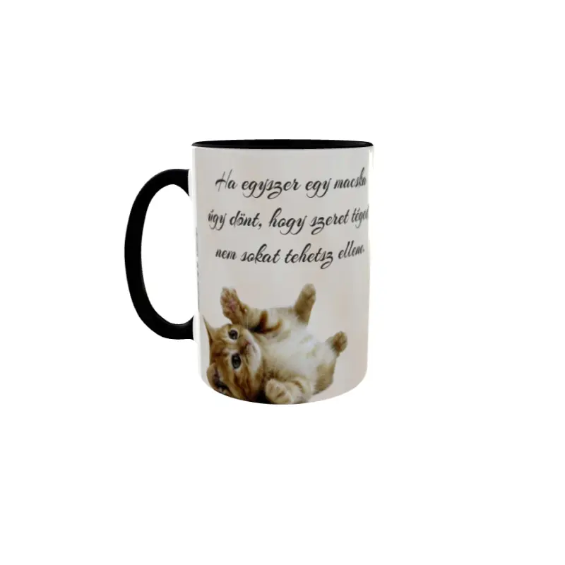 Ha egyszer egy macska ugy dont, cana din ceramica, 330ml