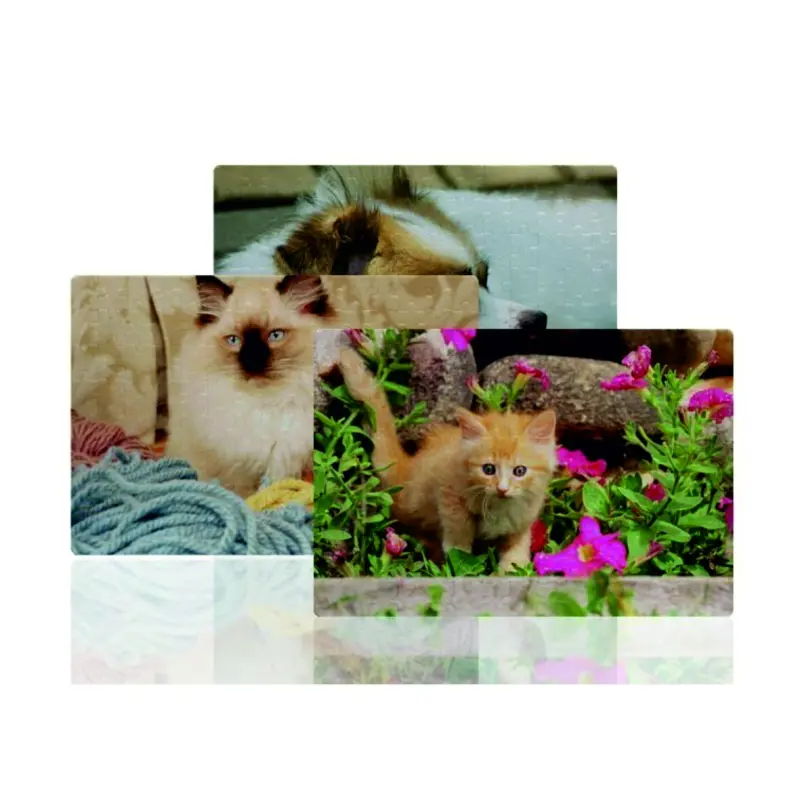 Puzzle a 3 personalizatv
