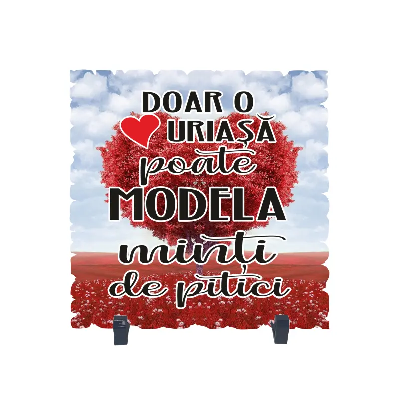 Doar o inima uriasa poate modela minti de pitici, placheta cu mesaj b