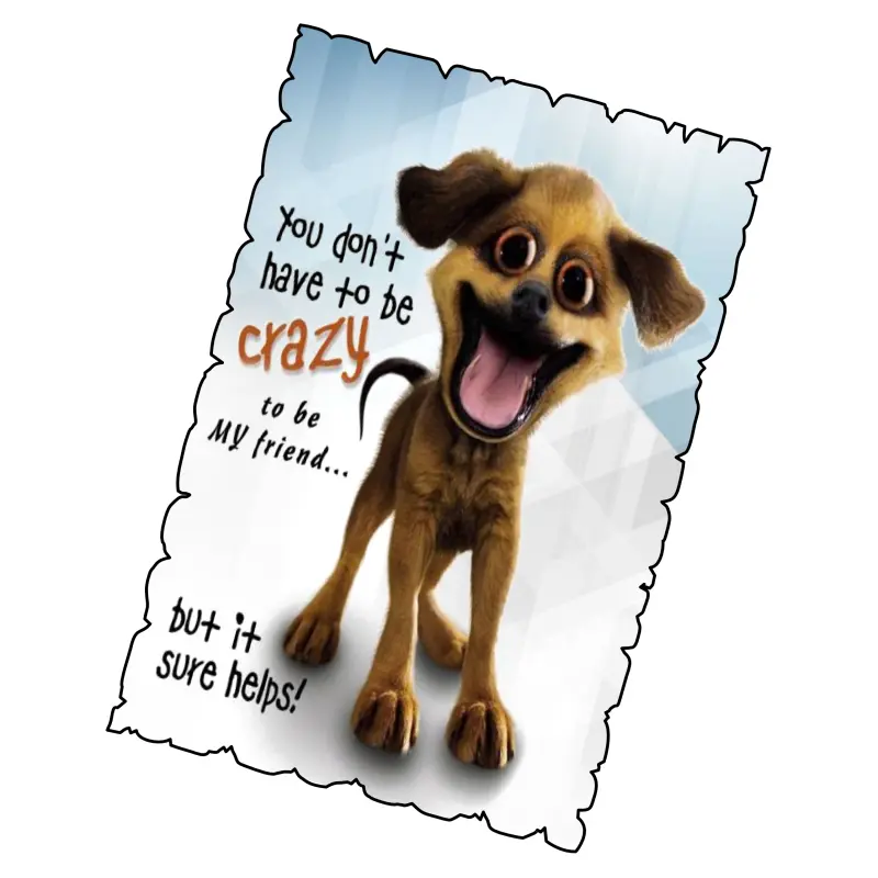 You don`t have to be crazy, magnet frigider mgs073