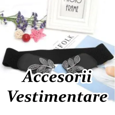 Accesorii vestimentare