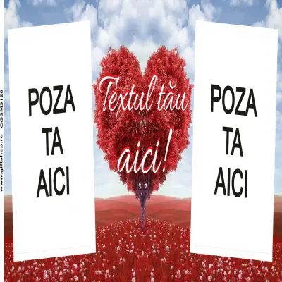 Cana, personalizata cu 2 poze si 1 text, 330ml, model 3120