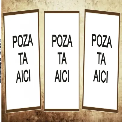 Cana, personalizata cu 3 poze si 1 text, 330ml, model 3136