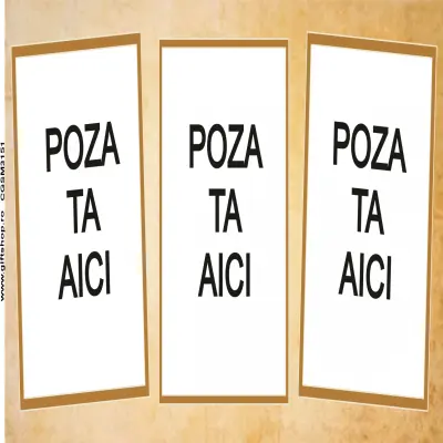 Cana, personalizata cu 3 poze si text, 330ml, model 3151