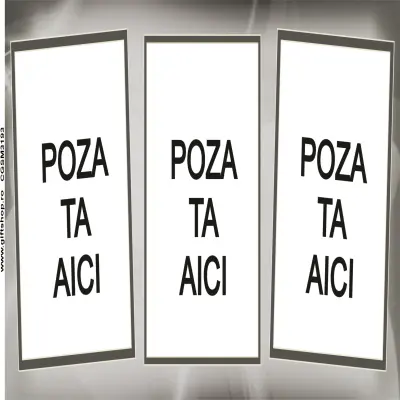Cana, personalizata cu 3 poze si text, 330ml, model 3193