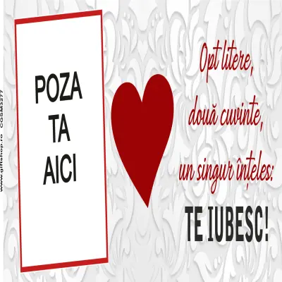 Te iubesc, cana personalizata cu poza si text, 330ml, model 3277