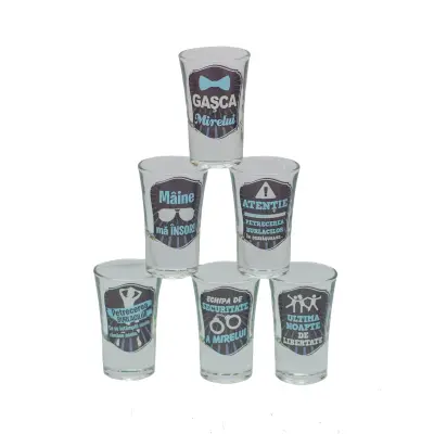 Petrecerea burlacilor, set 6 pahare pentru tarie
